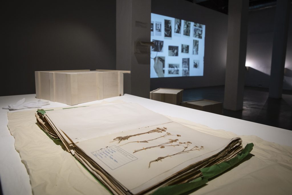 Exhibition view