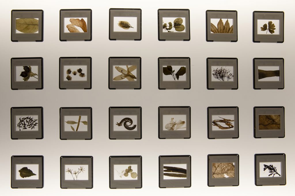 Exhibition view